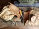 Zestaw ekwipunku bushcraftowego ułożony na drewnianym stole: plecak, nóż z rękojeścią z drewna, kompas, czapka kamuflażowa oraz poroże jelenia. Wszystko w otoczeniu naturalnych, rustykalnych materiałów.